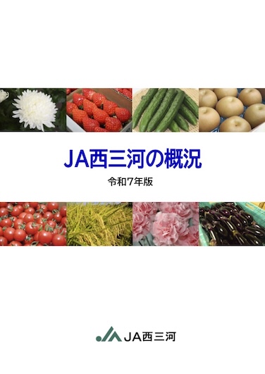 令和4年版 JA西三河の概況