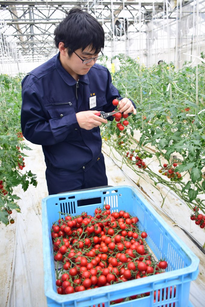 農作業体験通して「西尾の農業」学ぶ 新入職員29人が農家実習｜JA西三河